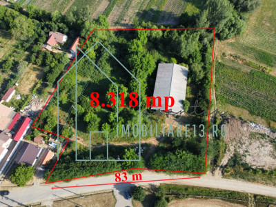 Hala cu 8.318 mp teren intravilan in Petresti, Sebes, Alba