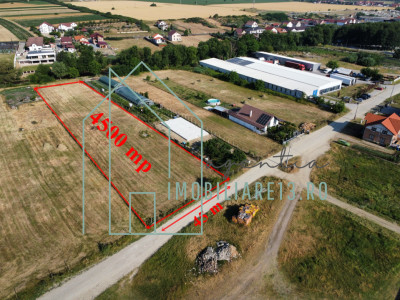 Teren de inchiriat, depozitare, parcare camioane, 4.500 mp, Petresti