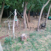 Domeniu, Afacere de vanzare, Sebeș, Alba, balta pescuit, ferma lavanda thumb 5