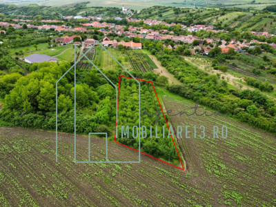Livada cu pruni de vanzare, teren cabana in Rahau, Sebes, Alba