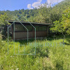 Casa locuibila, cu teren generos – Sugag, judetul Alba, DN67C, Transalpina thumb 12