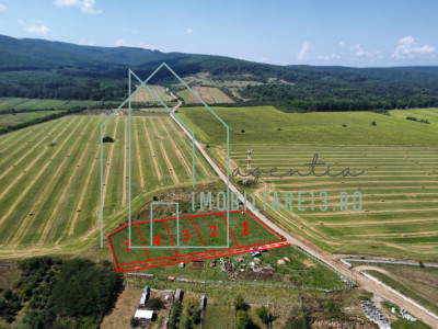 De vanzare parcele de teren intravilan in Petresti, Jud, Alba, 600 mp