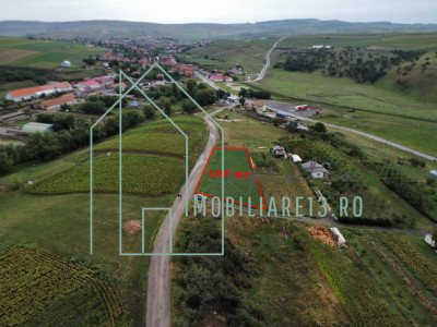 Teren de vanzare in Daia Romana, cu priveliste, parcele de 700mp
