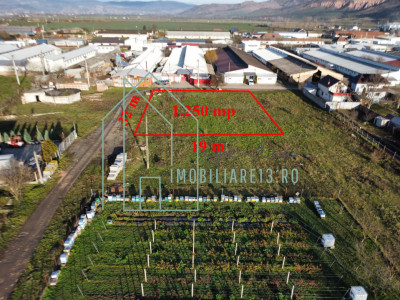 Teren hala, depozit in zona industriala str. Calarasi din Sebes-Alba