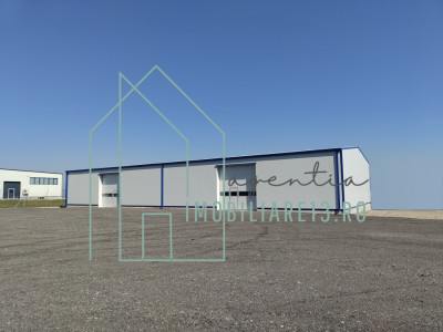 Hala Industriala 600 mp + Teren 2.500 mp | Acces Securizat (Bariera)